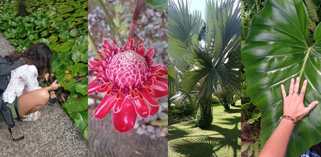 Balata. Plantes et Laura