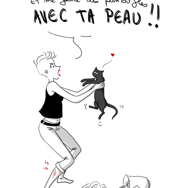 Le chat fou Le chat fou