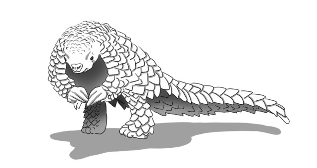 Carrot Invaders - Pangolin Carrot Invaders - Pangolin
