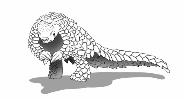 Carrot Invaders - Pangolin Carrot Invaders - Pangolin