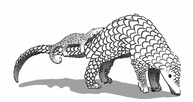 Carrot Invaders - Pangolin Carrot Invaders - Pangolin