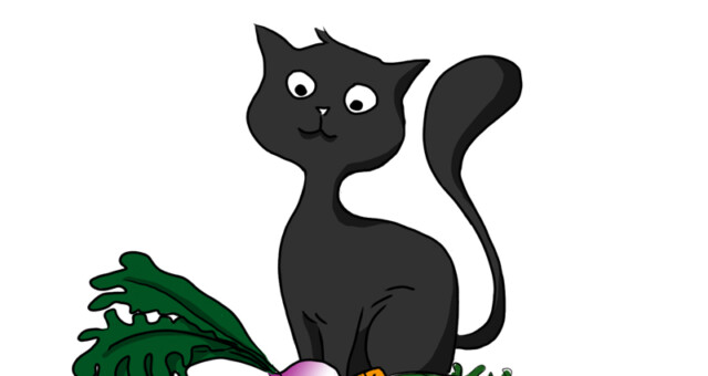 Carrot Invaders - chat Carrot Invaders - chat