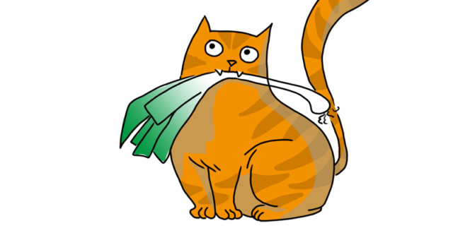 Carrot Invaders - chat Carrot Invaders - chat