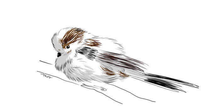 Carrot Invaders - Mésange à queue longue Carrot Invaders - Mésange à queue longue