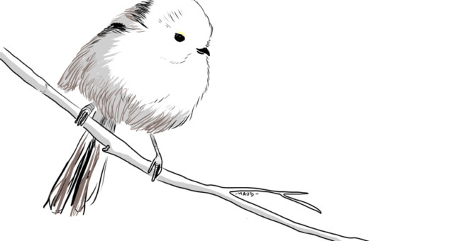 Carrot Invaders - Mésange à queue longue Carrot Invaders - Mésange à queue longue